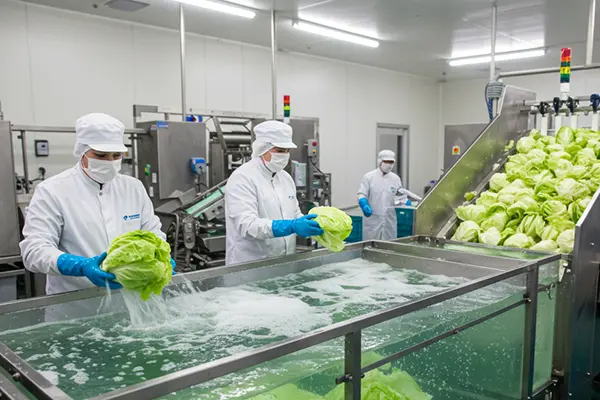 農業（野菜の洗浄・菌対策）